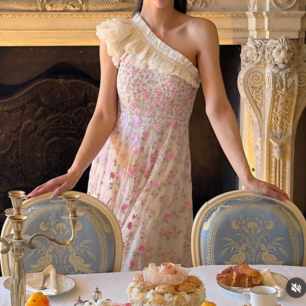 BHLDN Needle & Thread Dress size US 6 $985 - Picture 3 of 14